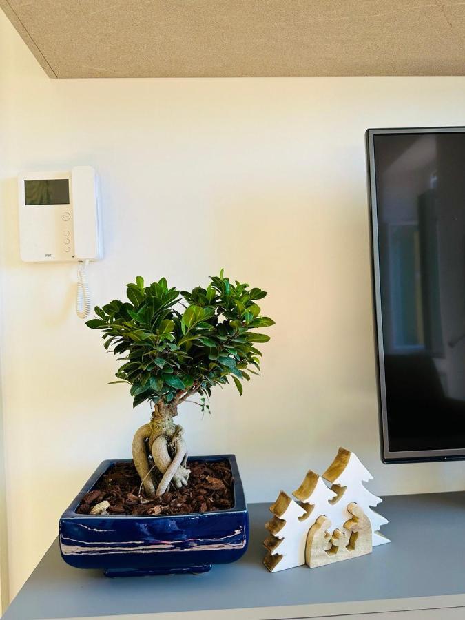 Alocasia Luxury Stay Salerno Exterior foto